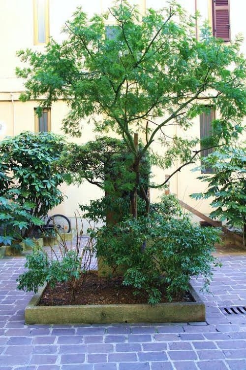 B and B IL CORTILETTO0