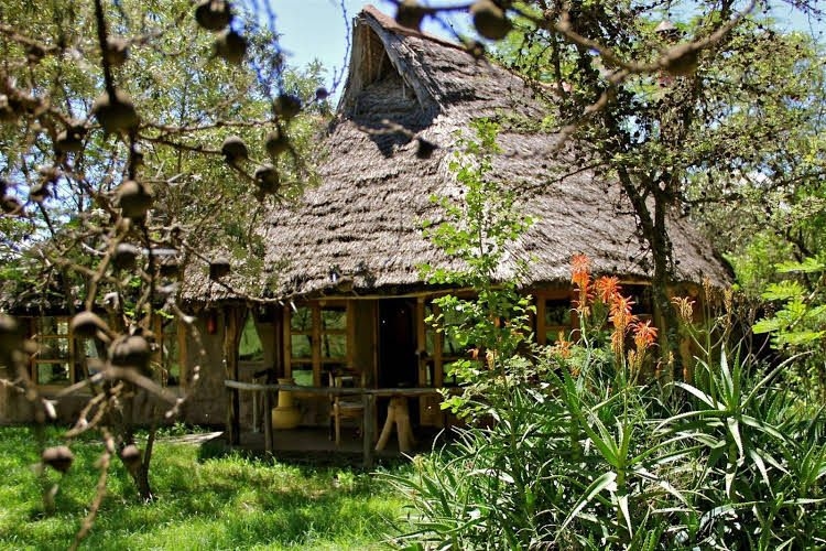 Chui Lodge0