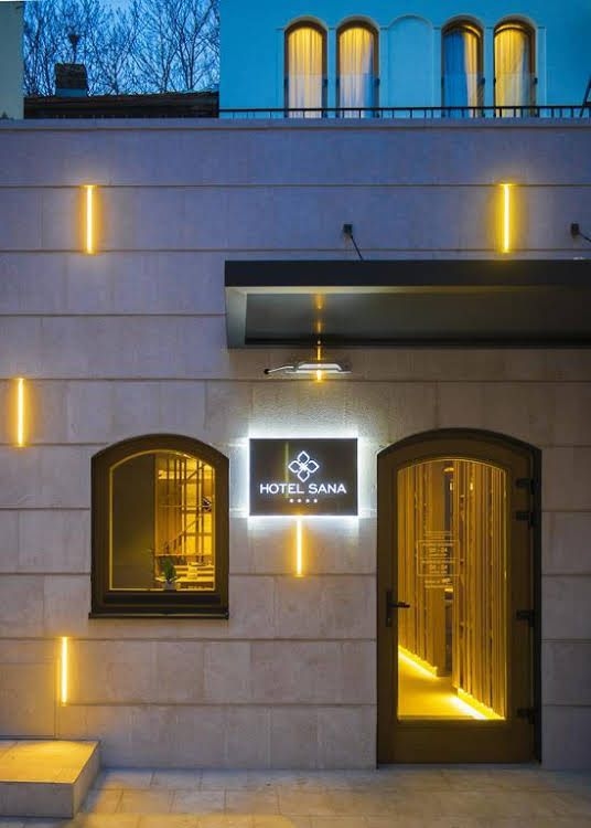 Hotel Sana1
