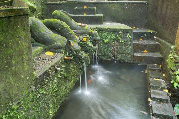 Bucu Beji Ubud0