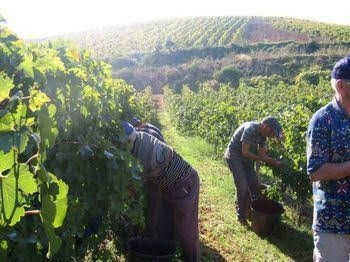 Agriturismo Tarantola0