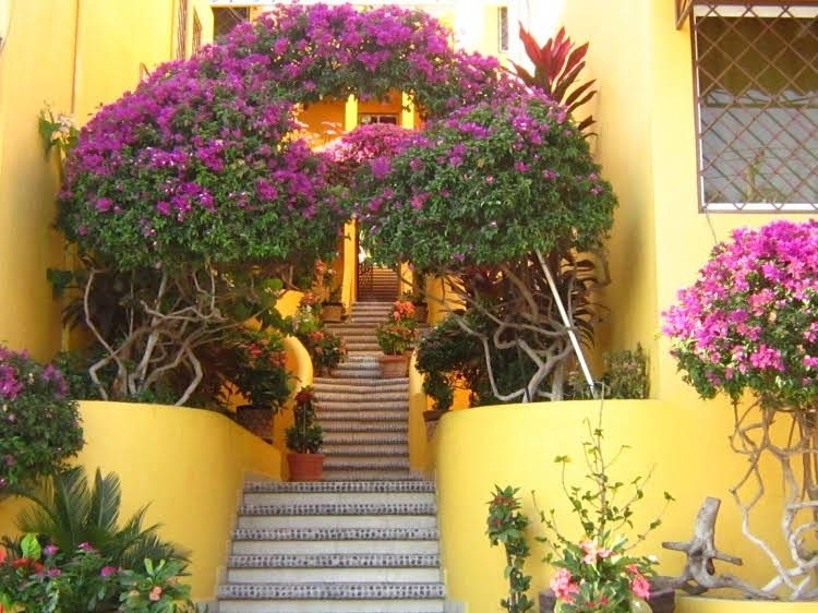 Villas Amarillas0