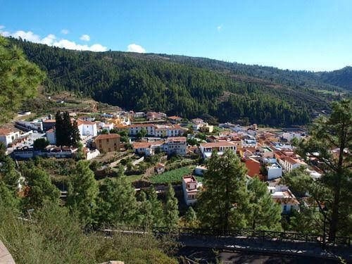 Apartamentos Self Catering Vilaflor0