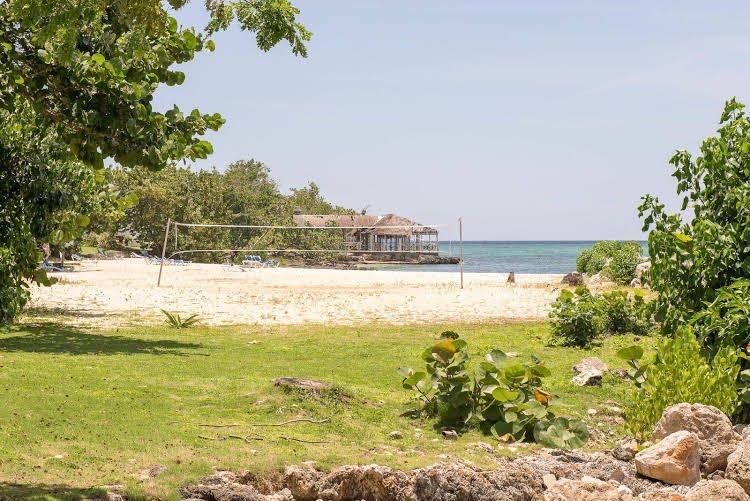 Mango Beach Studio0