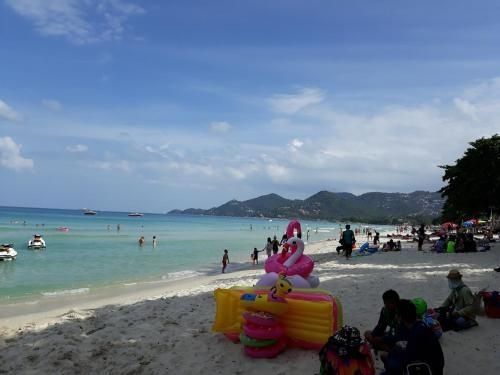 สมุย กรีน โฮเต็ล (Samui Green Hotel)0