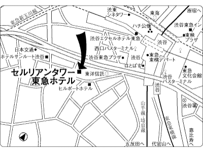 โรงแรมซีรูเลียน ทาวเวอร์ โตคิว โรงแรมในเครือแพนแปซิฟิก (Cerulean Tower Tokyu Hotel, A Pan Pacific Partner Hotel)3