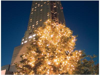 โรงแรมซีรูเลียน ทาวเวอร์ โตคิว โรงแรมในเครือแพนแปซิฟิก (Cerulean Tower Tokyu Hotel, A Pan Pacific Partner Hotel)2