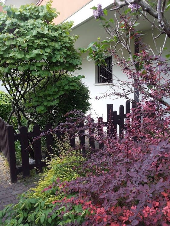 Exclusive Private Use Apartment0