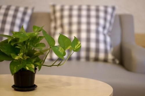 เบนริ ศรีราชา เรสซิเดนซ์ (Benri Sriracha Residence)4