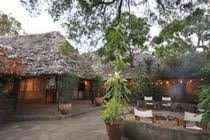 Fig Tree Camp0