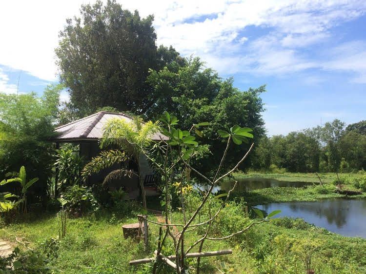กระบี่ไลฟ์ รีสอร์ต (Krabilife Resort)2