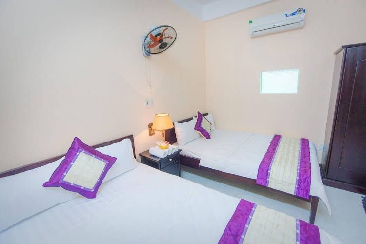 Da Nang Lavender0