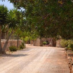 Finca Son Sala0
