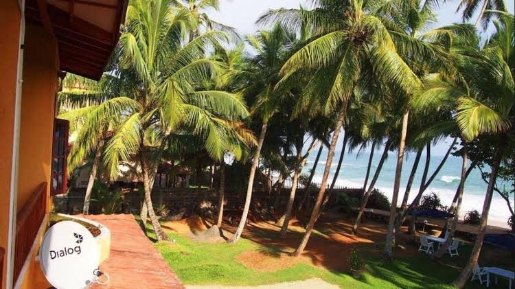 Crazy Coconut Villa0