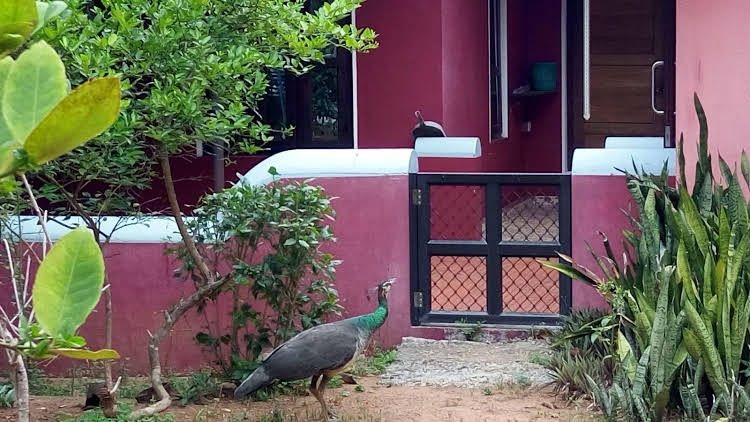 ELDC Dreamcatcher House0