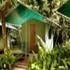 Jungle Lodge0