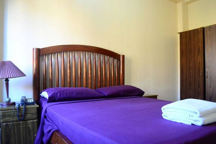 Kiwilodge0