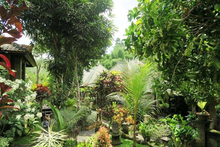 Puri Partha Ubud0