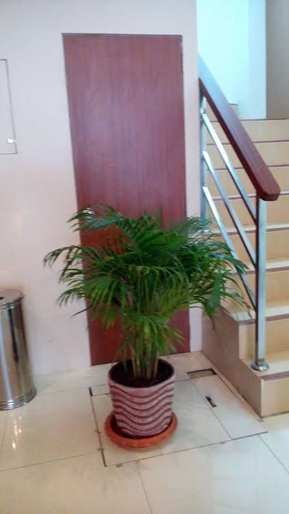 Phuket IYH Hostel0