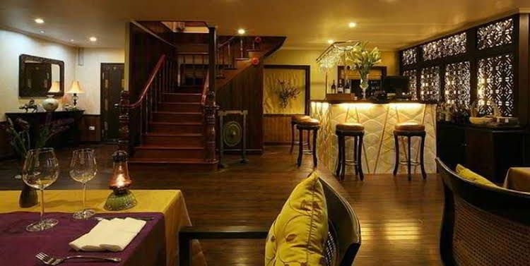Violet Cruise0