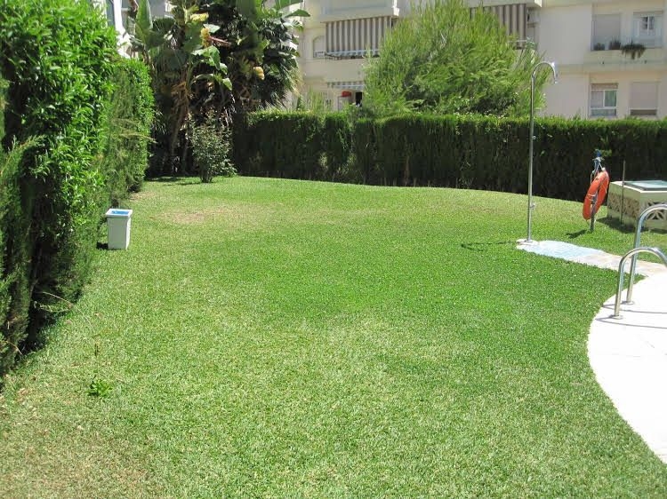Fan Flat Torremolinos0