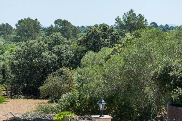 Villa Conchita1