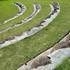 Step Aside George0