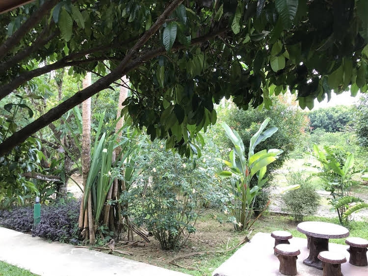เดอะ รอยัล แบมบู ลอดจ์ (The Royal Bamboo Lodge)1