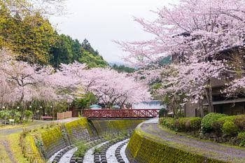 NAGAIZUMI SANSOU0