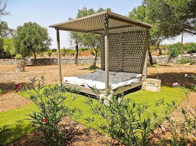 Finca Domingo0