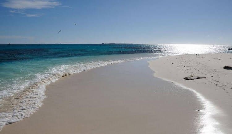 Bequeve Los Roques0