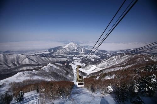 Ryuo Park Hotel (Ryuoo Park)4