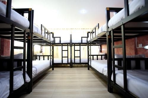 Thai Cat Hostel0