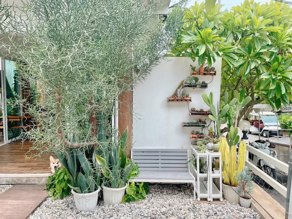 เช็คอิน รีสอร์ท เกาะล้าน (Check-in Resort Koh Larn)1