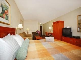 Best Western Plus Airport Inn & Suites4
