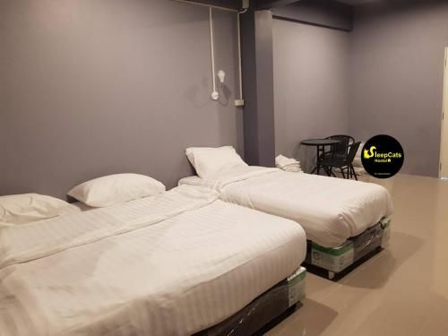 SleepCats Hostel2