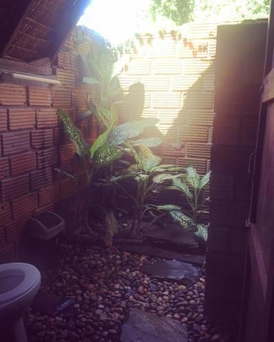 Mayom Garden1