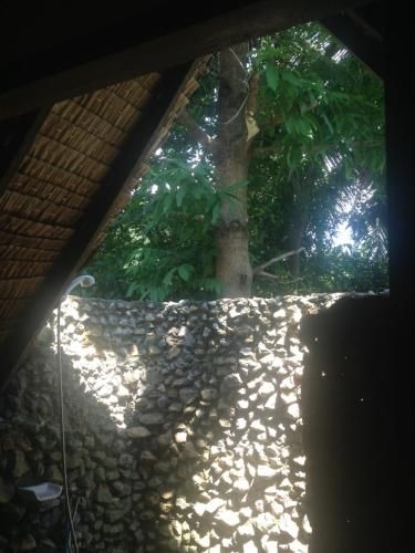 Mayom Garden2