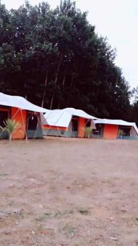 Friend Camp0