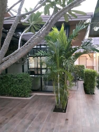 เดอะชิลเฮ้าส์ (The Chill House)1