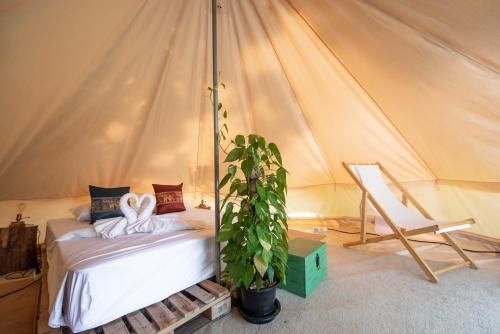 Roost Glamping3