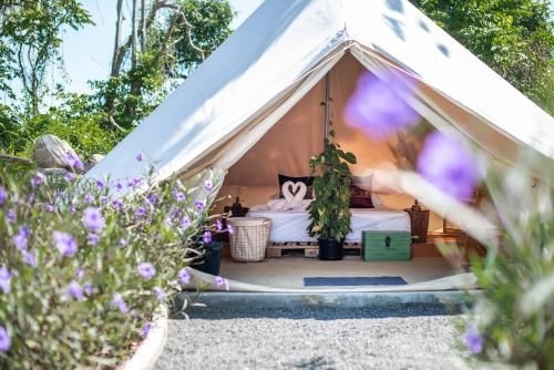 Roost Glamping1