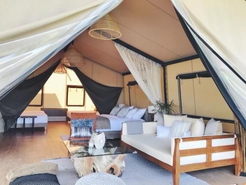 Te Mata Glamping3