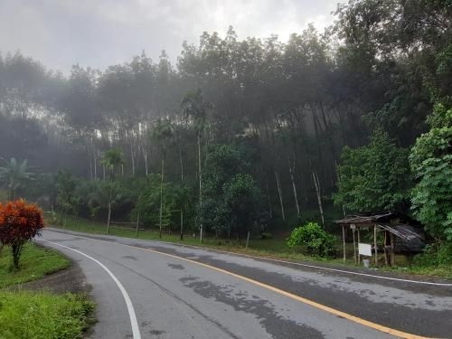 รรินธารารีสอร์ท (Rarin Thara Resort)2