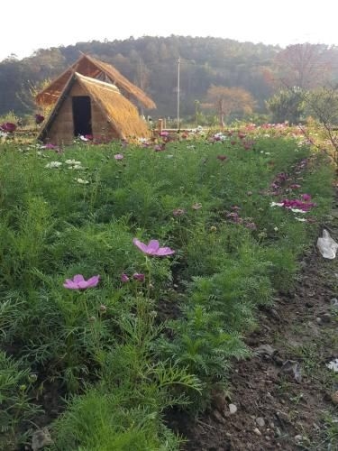 เผยเสน่ห์ ฝายแก้ง รีสอร์ท (Peisanae Faikeng Resort)2