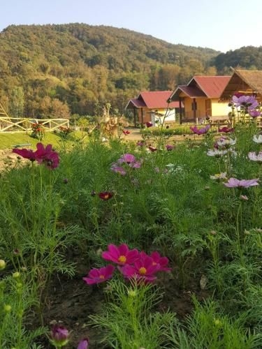 เผยเสน่ห์ ฝายแก้ง รีสอร์ท (Peisanae Faikeng Resort)3