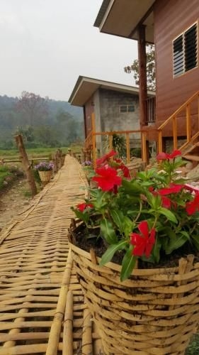 เผยเสน่ห์ ฝายแก้ง รีสอร์ท (Peisanae Faikeng Resort)4