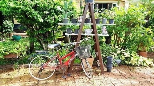 การ์เด้น รูม โฮสเทล (Garden Room Hostel)2