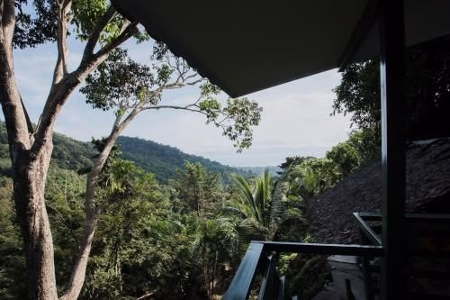 Nick's Jungle House2