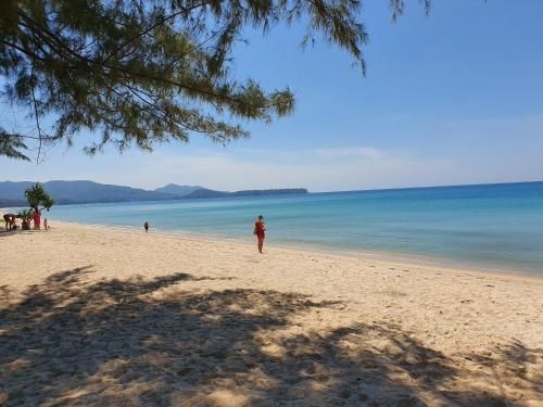 Tree House Surin Beach2
